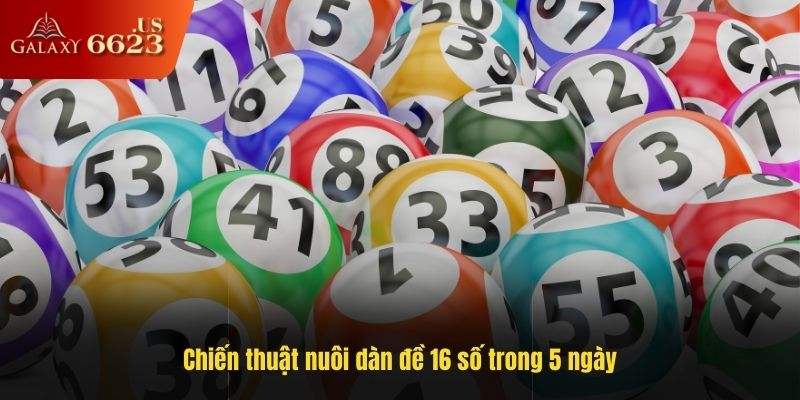 Chiến thuật nuôi dàn đề 16 số trong 5 ngày tỷ lệ thắng