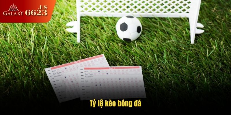 Tỷ Lệ Kèo Bóng Đá Là Gì? Cách Đọc Kèo Chuẩn Xác